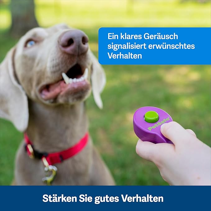 Kurgo Enhanced Strength Tru-Fit Dog Car Harness - Pet Travel Safety Harness - Crash Test Certified Fit - Five Point Adjustment - Secure Buckle - Padded Chest - Charcoal - Large