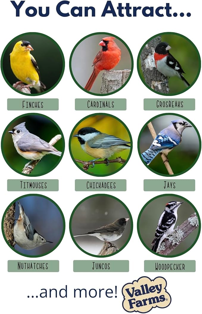 Valley Farms Super Deluxe Wild Bird Food for Outside feeders - 0% fillers - Loads of Sunflower Seed - w/Peanut kernels -Feed More Birds w/Less Seed (4 LBS)