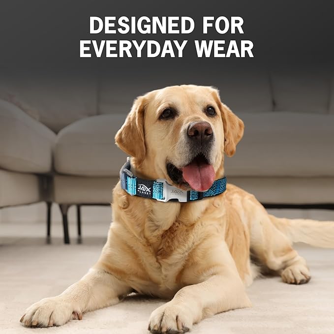 Blue Martingale Collar for Dogs - Heavy Duty Nylon Pet Collars for Escape-Free, No Pull Training & Walking with Alloy Metal Release Buckle & Reflective D Ring, One Time Adjustment, Safe & Secure