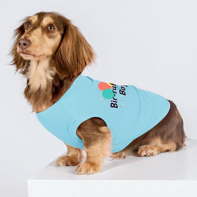 Fitwarm Birthday Boy Dog Shirt, Bir-Ruff-Day Boy Funny Dog Clothes for Small Dogs Boy, Pet Birthday Outfit, Cat Tshirt, 100% Breathable Cotton, Aqua Blue, Large