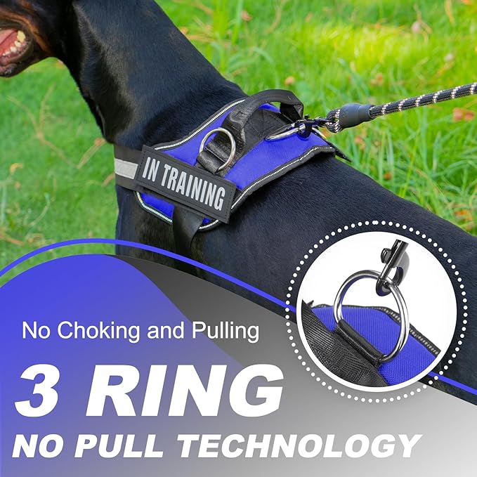 Essential Dog Harness with 3 Leash Clips - No-Pull, Adjustable, Comfortable Pet Vest Harness for Small to Large Dogs - Easy On, No Choke, Reflective, Padded Harness for Walking and Training