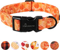 ARING PET Fall Dog Collar-Cute Orange Leaves Dog Collar for Small Dogs, Cotton Lightweight Dog Collars with Quick Release Buckle for Small Medium Large Dogs