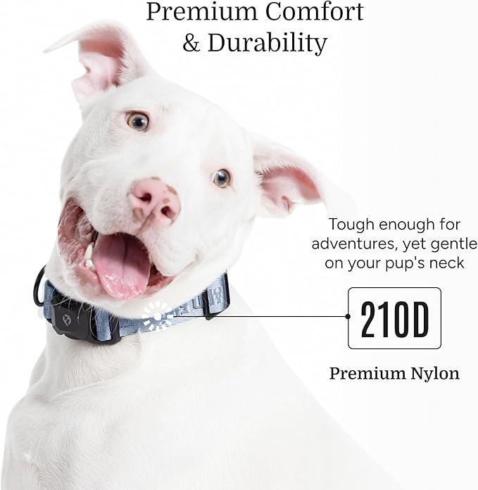 2025 New Edition, Fei & Eve MagEase Dog Collar - Patented Magnetic Buckles | Fur-Safe | Premium 210D Nylon | 450LB Escape-Proof | Adjustable Fit | Medium (Dusk Blue)