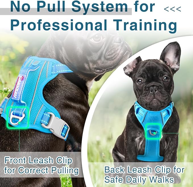 BARKBAY Dog Harness No Pull with ID Tag Pocket - Heavy Duty, Reflective, Easy Control for Large Dogs(Blue,XS)