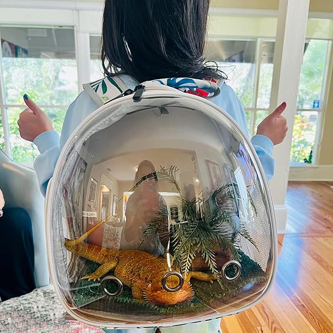 Hamster Backpack Carrier,Bearded Dragon Carrier Backpack for Kids with Clear Bubble Window,Small Animal Travel Backpack for Guinea pig Hedgehog Rat,Sugar Glider Airline Approved (Multicolor, Backpack)