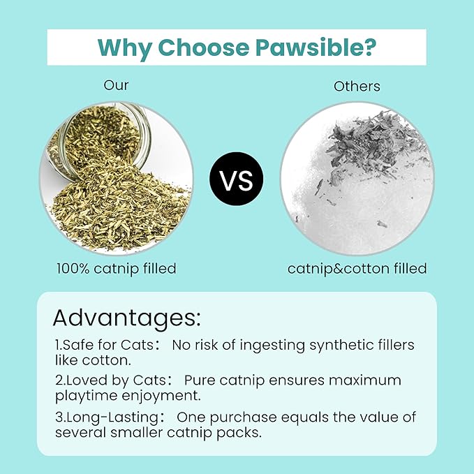 5 Pack Cactus Catnip Toys, 100% Organic Catnip Toys for Indoor Cats, Interactive Plush Chew Fun Without Cotton, Teething Soft Kittens Toys for Kitty, Colorful