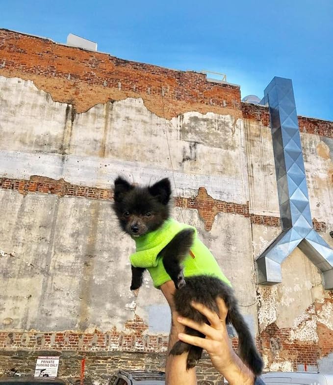 Gooby Fleece Vest Dog Sweater - Lime, Medium - Warm Pullover Fleece Dog Jacket with O-Ring Leash for Small to Medium Dogs