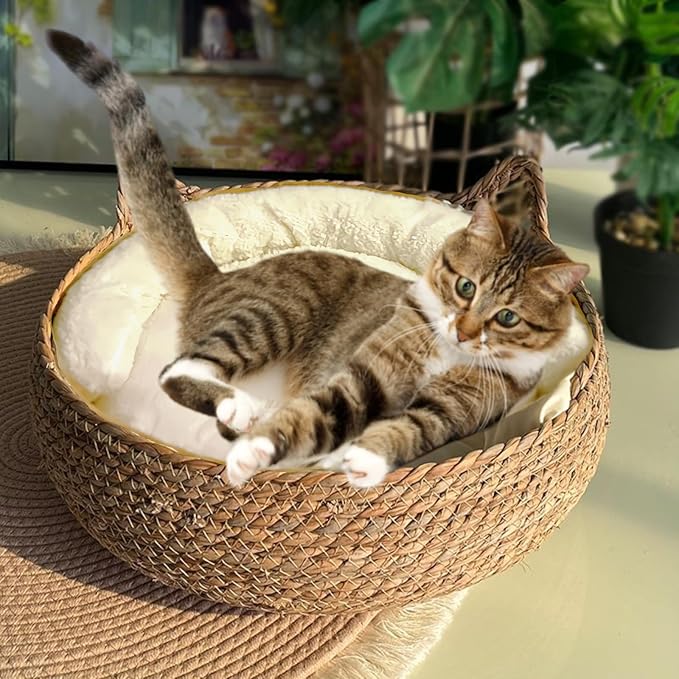 Natural Cat Bed Straw Nest Woven Pet House Handmade Braided Cattail Leaf with Soft Cushion 17 x 17 Inches