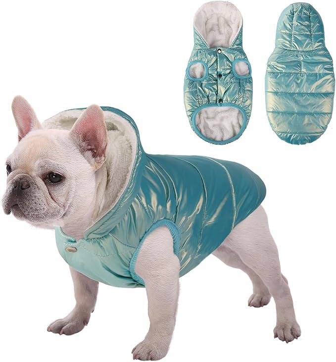 Fleece Hoodie, Windproof Waterproof Coat, Winter Warm Jacket for Dogs - Cold Weather Pet Apparel Clothes Vest for Small Medium Large (M, Mintgreen)