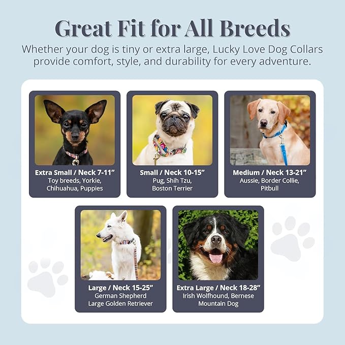 Lucky Love Dog - Adjustable Dog Collar with Easy Click Holly for Small to Large Ones, Durable, & Comfortable for Male & Female Dogs, Pet Collar for Puppies & Adult Dogs - Holly, Small