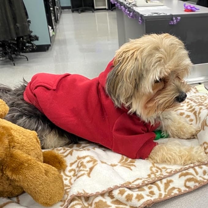 Jecikelon Winter Dog Hoodie Sweatshirts with Pockets Warm Dog Clothes for Small Dogs Chihuahua Coat Clothing Puppy Cat Custume (Wine red, Medium)