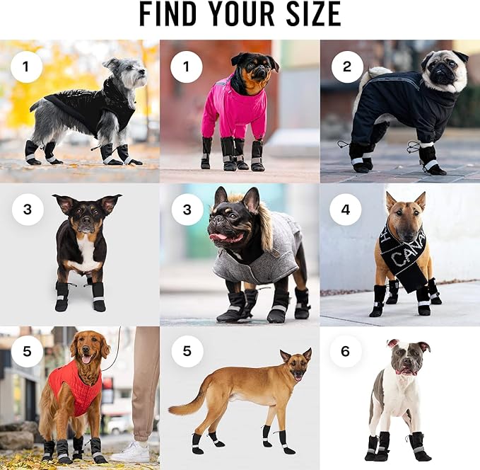 Canada Pooch Dog Winter Boots - Paw Protection, Anti-Slip Dog Shoes with Reflective Strap, Easy On for Small Medium Large Dog Booties - Black, Size 1