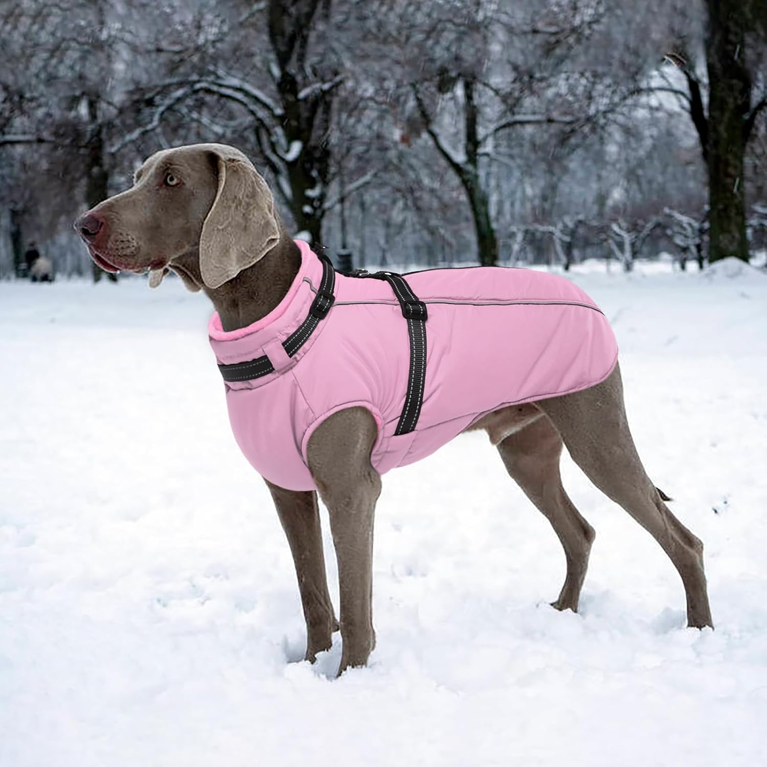 Lelepet Dog Coat for Large Dogs Waterproof Dog Jacket with Harness Built in Reflective Fleece Jacket with Zip Windproof Cold Weather Coats for Dogs Cozy Thermal Pet Snowsuit, Weimaraner, Pink, XXL