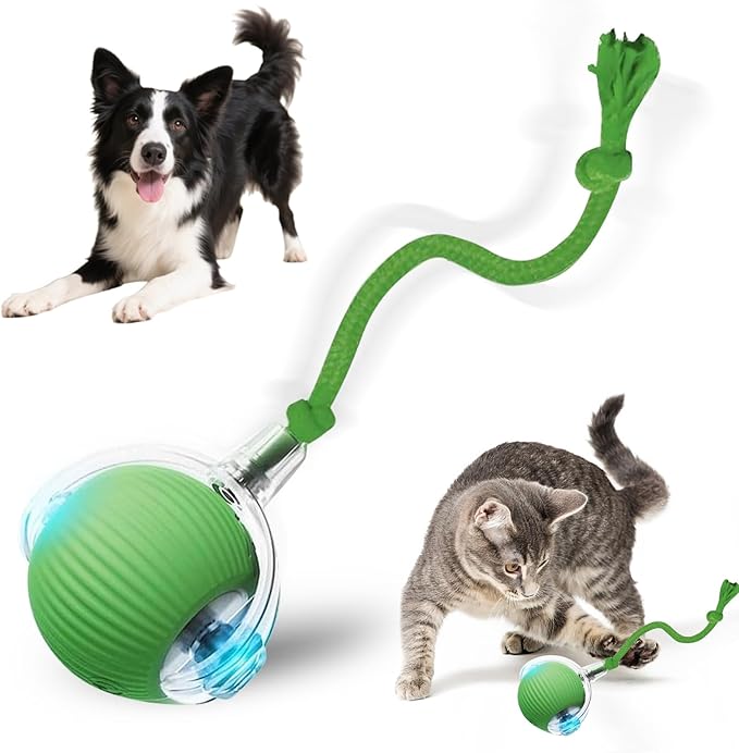 Interactive Cat Toy, 2025 New Interactive Rolling Cats Dog Toy Balls 360° Smart Automatic Rolling Pet Ball, Fast Moving Toy for Dog,Cat Ball Toy(Geen)