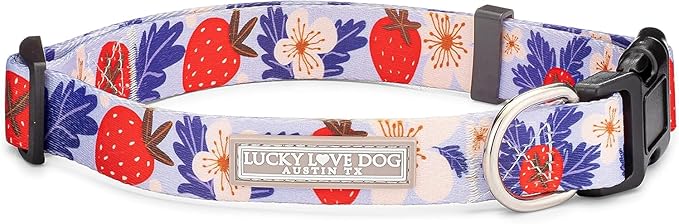 Lucky Love Dog - Adjustable Dog Collar with Easy Click Buckle for Small to Large Ones, Durable, & Comfortable for Male & Female Dogs, Pet Collar for Puppies & Adult Dogs - Sweet Berry, Large