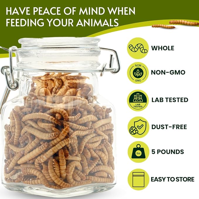 Dried Mealworms 100% Non-GMO 5 Lb - Mealworms for Birds, Chickens, Ducks - Perfect High-Protein Treats - Whole Large Meal Worms, Dried for Chickens and Bluebird Food Bulk