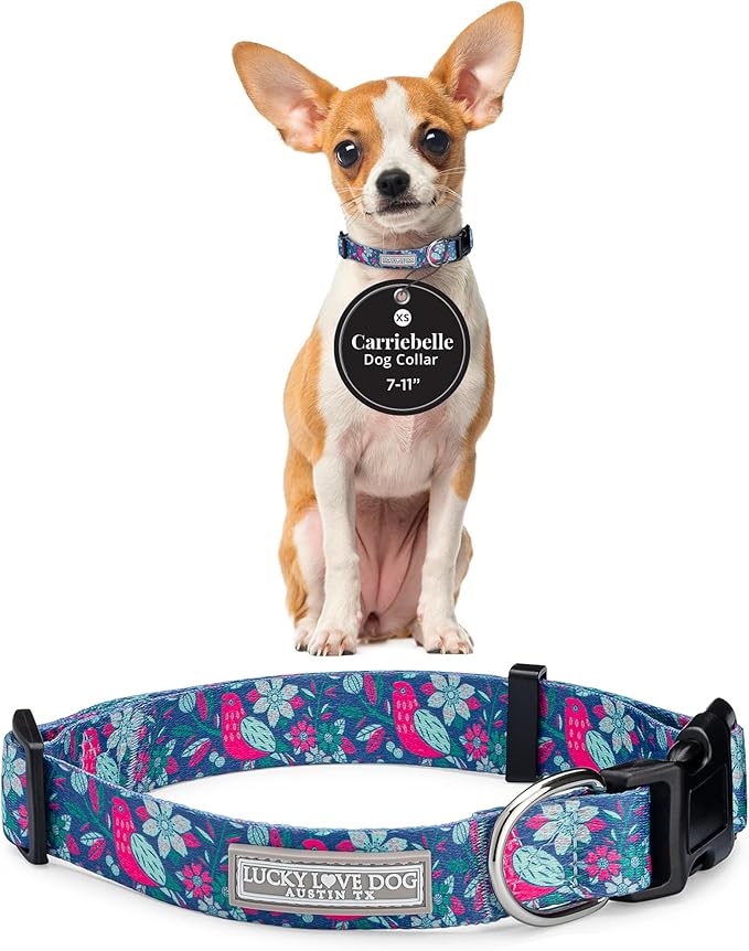 Lucky Love Dog - Adjustable Dog Collar with Easy Click Buckle for Small to Large Ones, Durable, & Comfortable for Male & Female Dogs, Pet Collar for Puppies & Adult Dogs - Carriebelle, XS