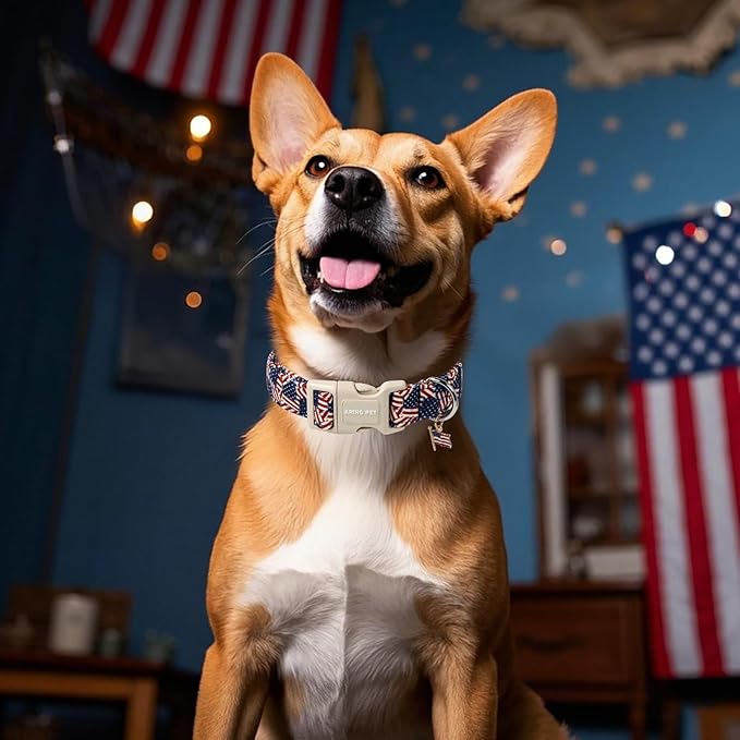 ARING PET American Flag Dog Collar-Cute Patriotic Dog Collars, Adjustable 4th of July Pet Collars Puppy Collar with Quick Release Buckle