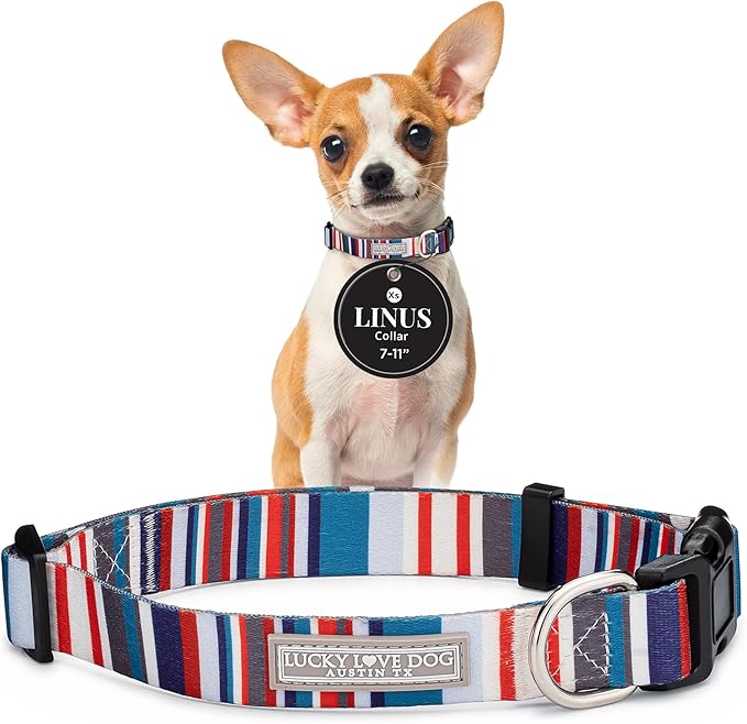 Lucky Love Dog - Adjustable Dog Collar with Easy Click Buckle for Small to Large Dogs, Durable, & Comfortable for Male & Female Dogs, Pet Collar for Puppies & Adult Ones - Linus, XS