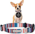Lucky Love Dog - Adjustable Dog Collar with Easy Click Buckle for Small to Large Dogs, Durable, & Comfortable for Male & Female Dogs, Pet Collar for Puppies & Adult Ones - Linus, XS