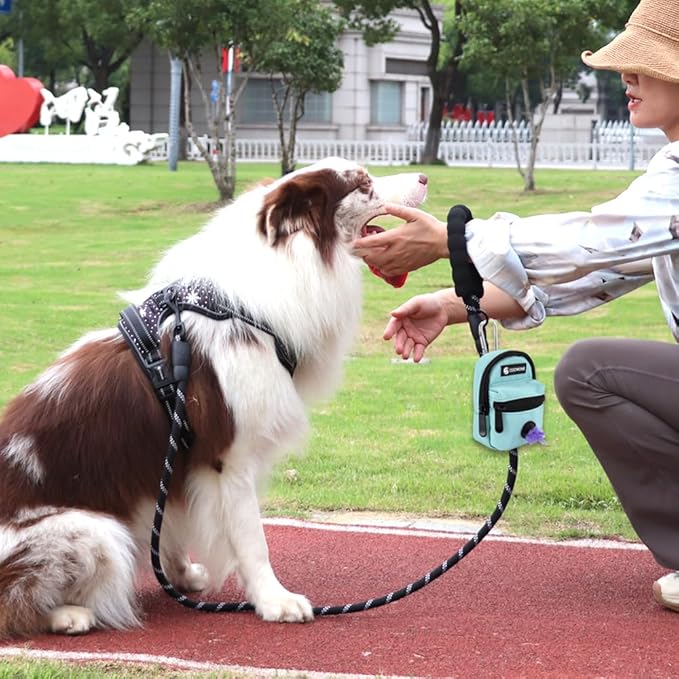 Dog Treat Pouch Dog Poop Bag Holder for Leashes, Pets Snack Container With Inner Small Bag, Puppy Supplies Perfect for Training and Walking - Hands Free Dog Waste Bag Dispenser -Dog Travel Accessories