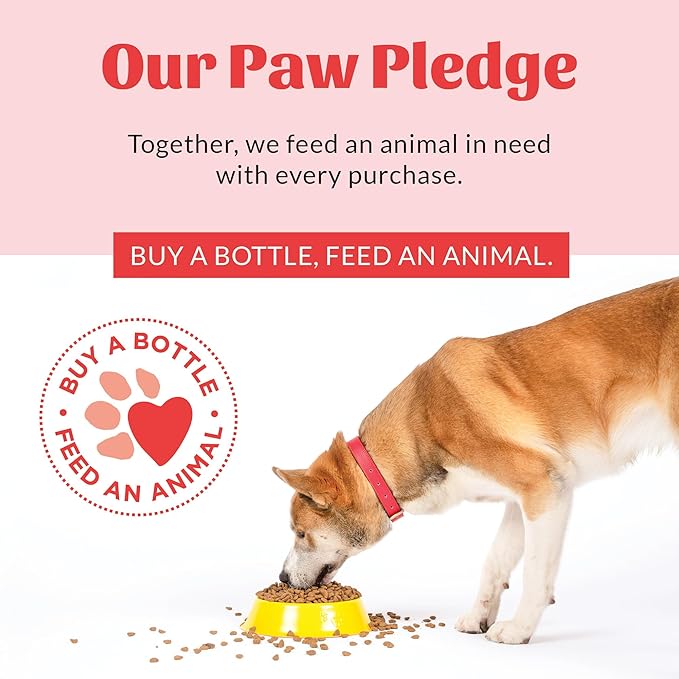 Skout's Honor Probiotic Dog Shampoo & Conditioner with Avocado Oil & Omega-3s, 97% Natural, Paraben & Sulfate-Free, Cruelty-Free, 16oz, Honeysuckle