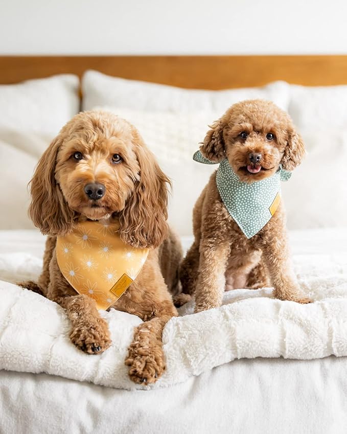 Remy+Roo Extra Large Spring Dog Bandanas - 4 Pack Katherine Set | Premium Durable Adjustable Polyester Fabric Dog Scarfs | Patented Shape Girl Dog Bandana, Trendy Patterns, Floral Dog Bandana