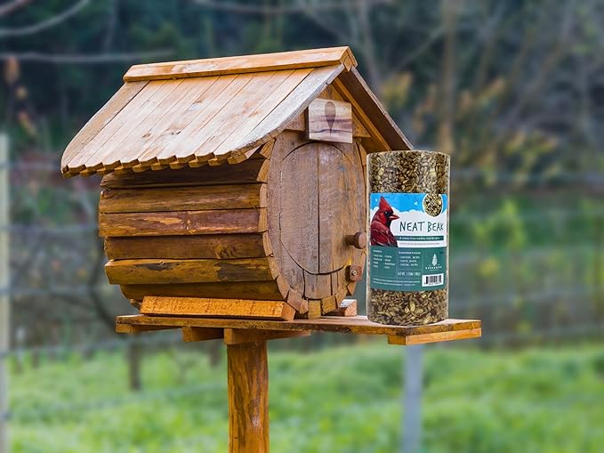 Birdseed Cylinders with Hole - Bird Seed for Outside Wild Birds (Small Cylinder, Neat Beak 6pc)