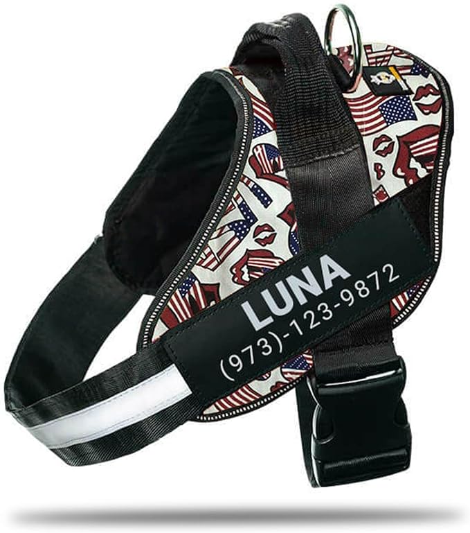 Personalized No-Pull Dog Harness with Name Patch, Adjustable, Reflective, Padded, Heavy Duty Pet Vest to Prevent Tugging, Pulling, or Choking, Training and Walking, USA, XL