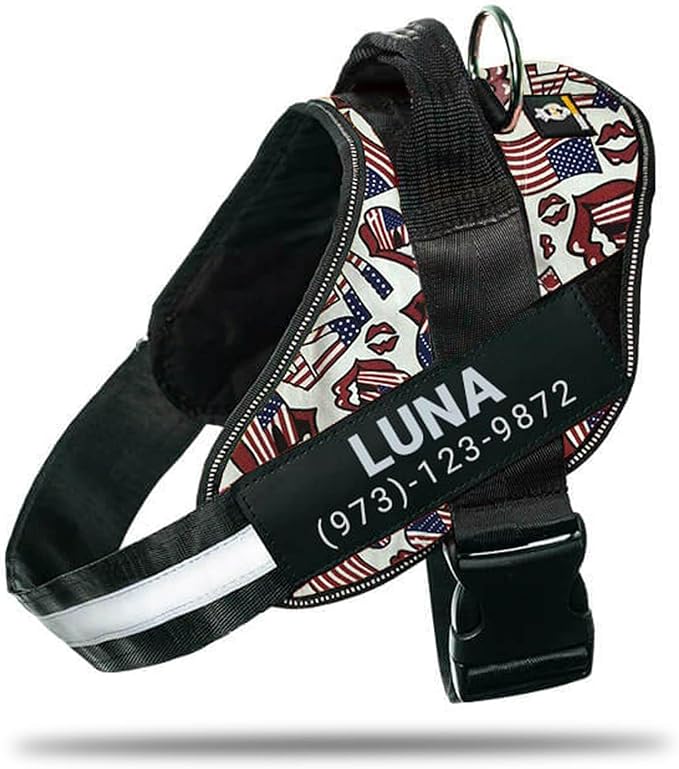 Personalized No-Pull Dog Harness with Name Patch, Adjustable, Reflective, Padded, Heavy Duty Pet Vest to Prevent Tugging, Pulling, or Choking, Training and Walking, USA, S