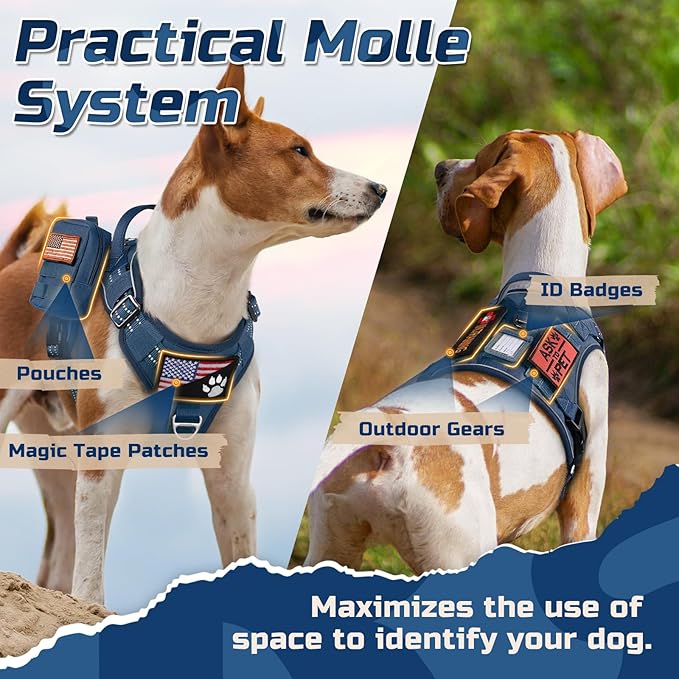 rabbitgoo Tactical Dog Harness for Small Dogs, No Pull Military Service Vest with Handle & Molle, Easy Control for Training Walking, Adjustable Reflective Straps, Blue, S