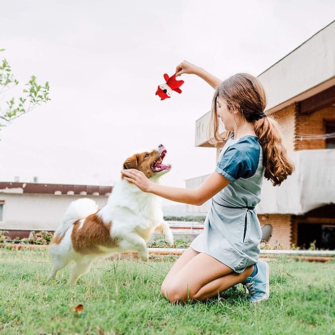 LEGEND SANDY Squeaky Dog Toys for Puppy Small Medium Dogs, Stuffed Samll Dog Toys Bulk with Plush Pet Doggie Toy Set, Cute Safe Pet Chew 12 Pack for Puppies Teething