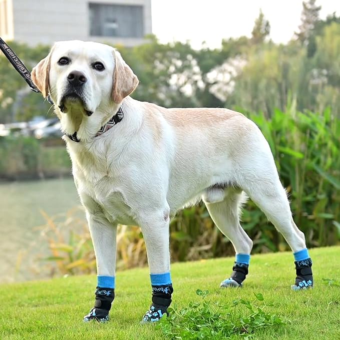 KOOLTAIL Dog Socks for Hot/Cold Pavement to Prevent Licking Paws,Dog Boots&Paw Protector for Hardwood Floors Anti Slip,Traction Control No Twist Grip Booties for Small Medium Large Senior Dogs M