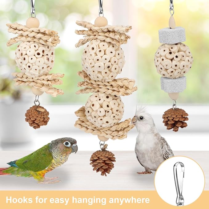Wontee Bird Toys 3 Pack Parrot Foraging Hanging Toys Sola Ball Natural Nuts Chew Toys for Cockatiels Conures Parakeets Budgies Senegal (3 Pack)