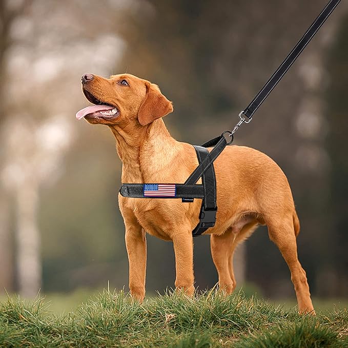Annchwool No Pull Dog Harness with Padded Handle+5 Ft Leash,Reflective Strip Escape Proof and Quick Fit to Adjust Dog Harness,Easy for Training Walking for Small & Medium and Large Dogs(Black-Set,S)