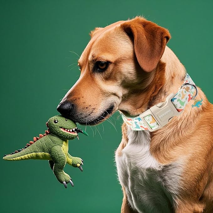 DOGWONG Whale Cotton Dog Collar, Summer Cute Shark Dog Collar Durable Soft Fabric Male Pet Dog Collars Boy Puppy Necklace for Small Medium Large Dogs