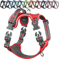 VIVAGLORY Dog Harness Easewalk No Pull Dog Harness with Handle & Front Back Clip for Training Lifting, Easy On Adjustable Padded No Pull for Pet & Puppy, XS, Red
