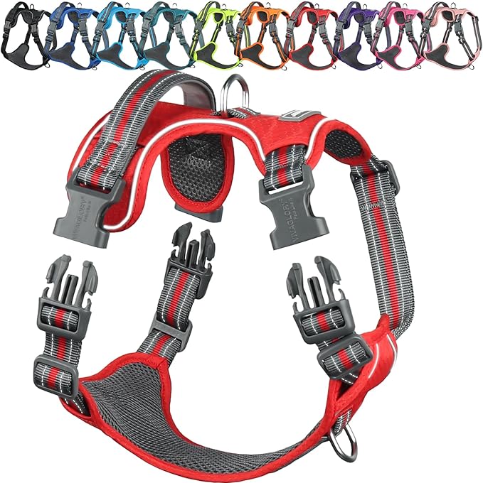 VIVAGLORY Dog Harness Easewalk No Pull Dog Harness with Handle & Front Back Clip for Training Lifting, Easy On Adjustable Padded No Pull for Pet & Puppy, XS, Red
