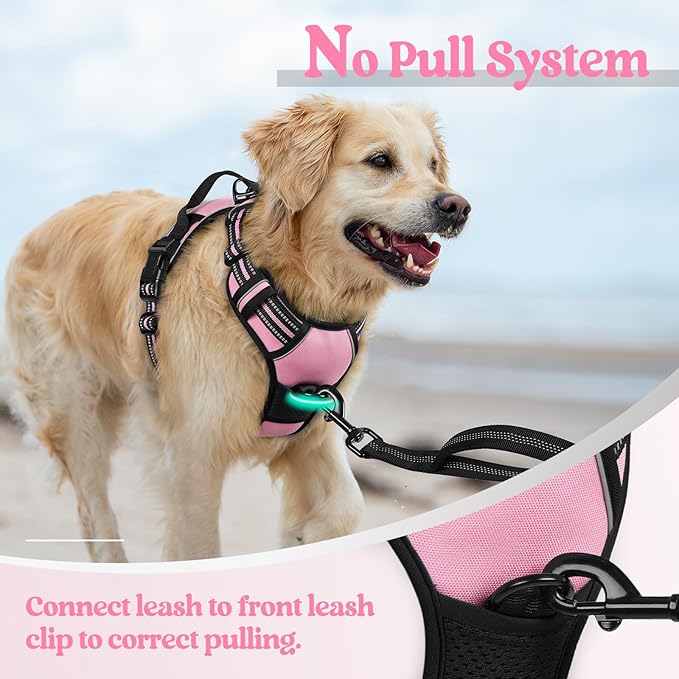 rabbitgoo Dog Harness No Pull with 2 Leash Clips, Adjustable Soft Padded, Reflective Oxford No Choke Pet Vest with Easy Control Handle for Medium Sized Dogs, Pink, M