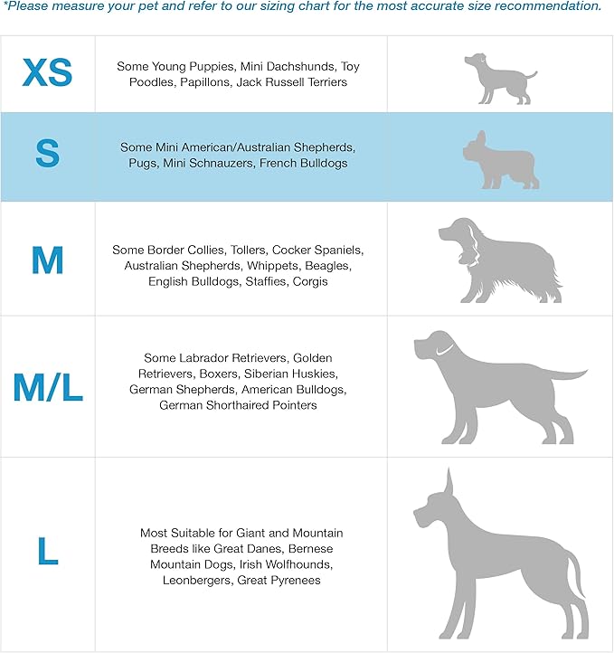 Blue-9 Buckle-Neck Balance Harness, Fully Customizable Fit No-Pull Harness, Ideal for Dog Training and Obedience, Made in The USA, Orange, Small