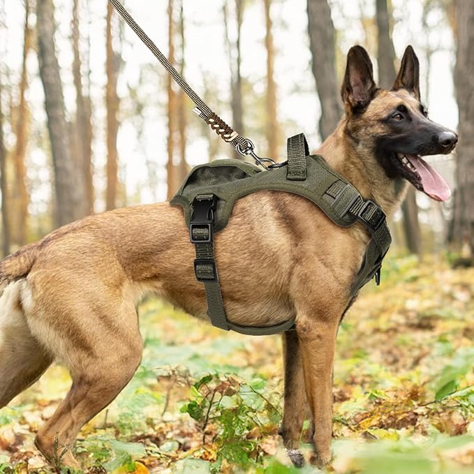 No Pull Dog Harness Medium Sized Dog for Service, Easy Walk, Training - Adjustable Reflective Dog Vest with Handle Easy Control - No Choke Metal Buckled Pet Harnesses (Green, Large)