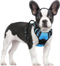 rabbitgoo Dog Harness No Pull with 2 Leash Clips, Adjustable Soft Padded, Reflective Oxford No Choke Pet Vest with Easy Control Handle for Small Dogs, Blue, S