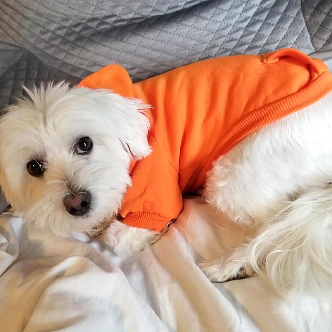 Jecikelon Winter Dog Hoodie Sweatshirts with Pockets Warm Dog Clothes for Small Dogs Chihuahua Coat Clothing Puppy Cat Custume (Orange, Large)