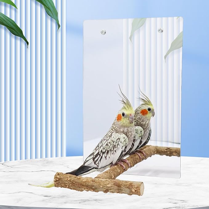 Oooct Large Bird Mirror Toy with Perch Stand, Parrot Parakeet Mirror with Bird Swing Bell Toys, Bird Cage Accessories, Suitable for Parakeet Cockatiel Conure Lovebirds - 11.8 × 7.9 Inch