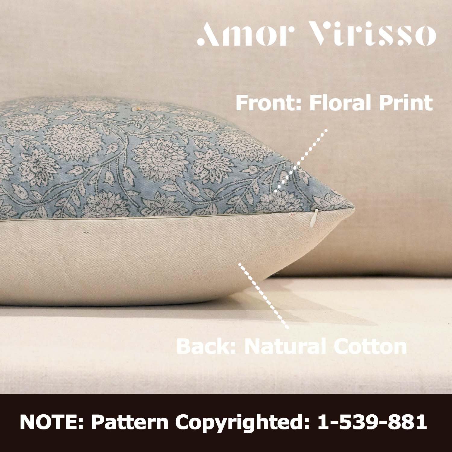 Amor Virisso Floral Throw Pillow Covers 20x20 Block Print Pillow Covers Vintage Neutral Couch Pillows for Living Room Farmhouse Decorative Accent Sofa Pillows, Light Blue