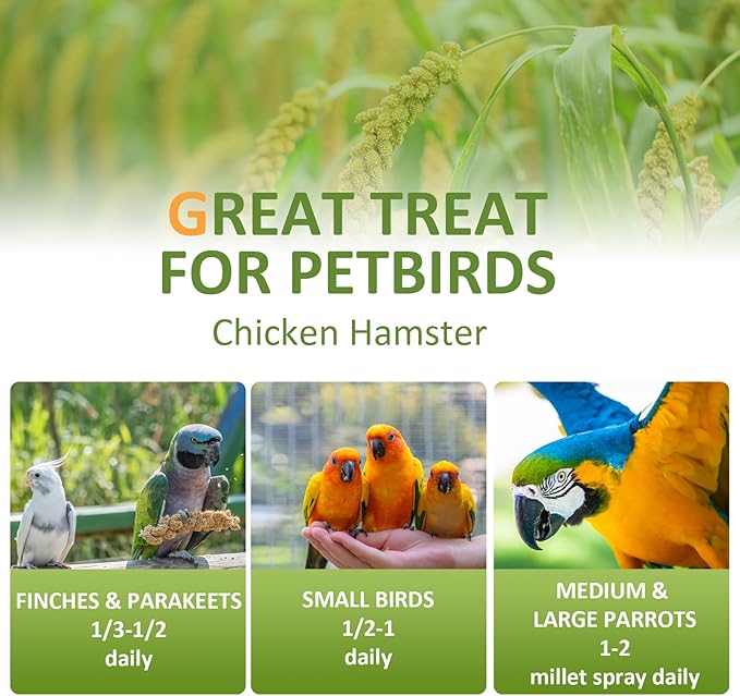 Spray Millet for Birds 5LB - All Natural Sun-Dried Healthy Treat, Millet Spray for Parakeets, Parrots, Lovebirds, Cockatiels Food, 100% Non-GMO High Protein Fresh Bird Seed