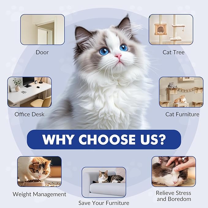 Interactive Cat Toys for Indoor Cats, Automatic Electric Flying Bird Feather Wand Toy, Best Kitten & Adult Cat Enrichment Toy Hanging Electric Kitty Toys for Bored Cats, Dark Blue