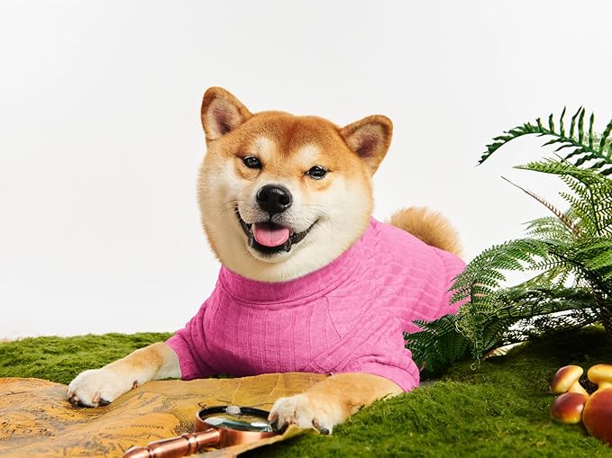 Dog Turtleneck Knitted Shirt Stretchy Pullover Sweater Winter Warm Puppy Clothes for Small Medium Dogs