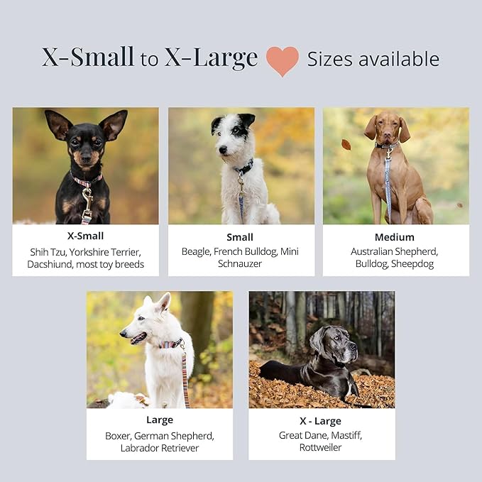 Lucky Love Dog - Adjustable Dog Collar with Easy Click Noel for Small to Large Ones, Durable, & Comfortable for Male & Female Dogs, Pet Collar for Puppies & Adult Dogs - Noel, Large