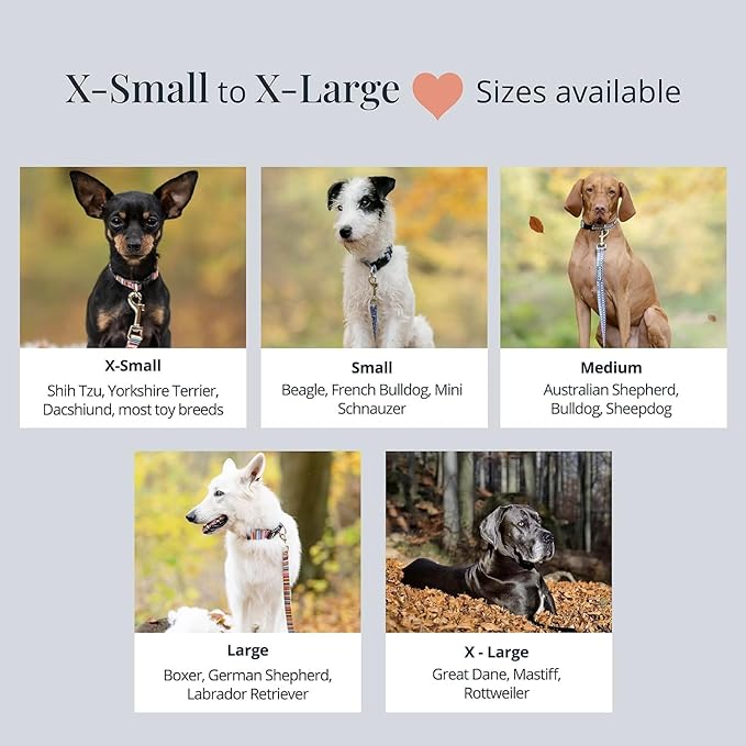 Lucky Love Dog Collar and Leash Combo, Vivid Floral Matching Girl Dog Leash and Collar Set for Small Dogs - (CarrieBelle Combo, Small)